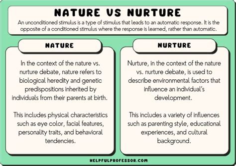 murrtu e|nurturers definition.